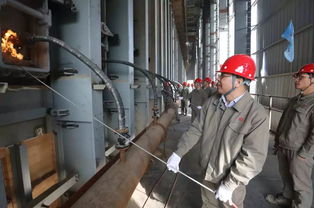 柳鋼防城港基地高爐熱風(fēng)爐圓滿竣工，7.5米大型焦?fàn)t成功烘爐點火